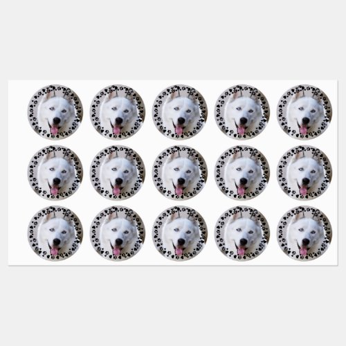 Customize Pet Photo Dog Paw Prints in Hearts Frame Labels