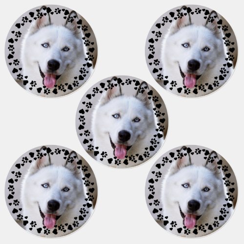 Customize Pet Photo Dog Paw Prints in Hearts Frame Labels