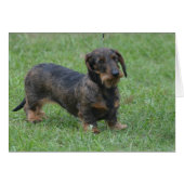 Customize Product (Front Horizontal)