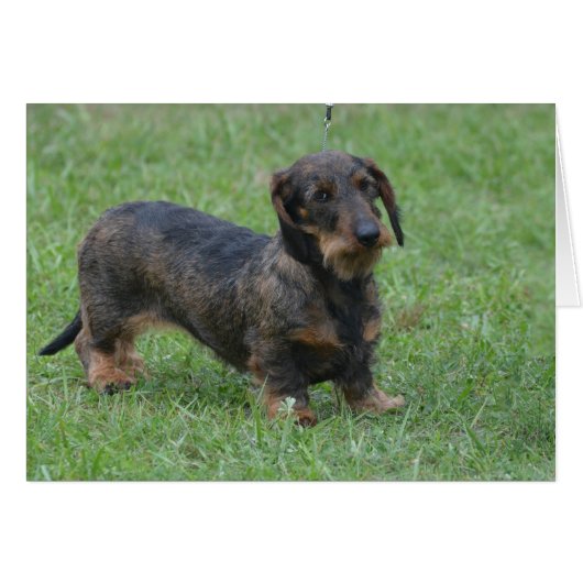 Customize Product (Front Horizontal)