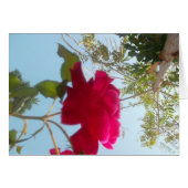 Customize Product (Front Horizontal)