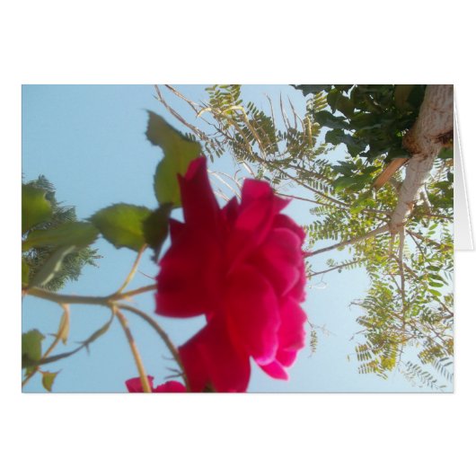 Customize Product (Front Horizontal)