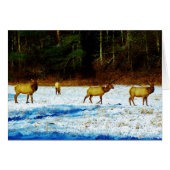 Customize Product (Front Horizontal)