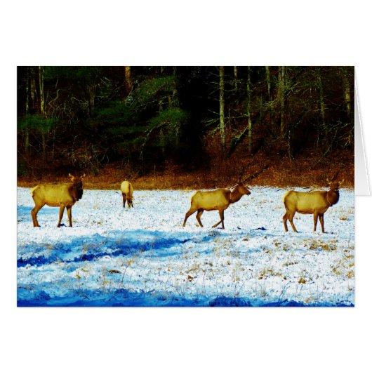 Customize Product (Front Horizontal)