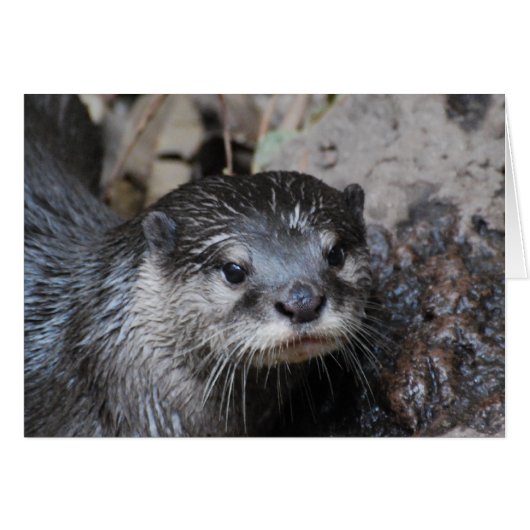 Customize Product (Front Horizontal)