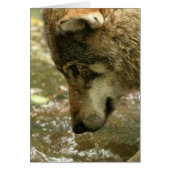 Customize Product (Front)