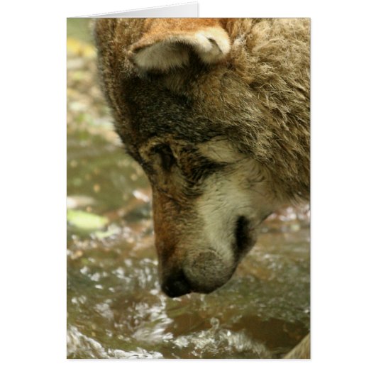 Customize Product (Front)