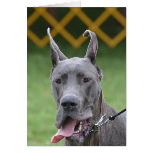 Customize Product (Front)