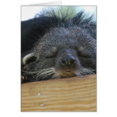 Customize Product (Front)