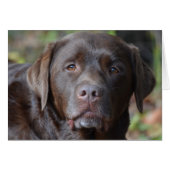 Customize Product (Front Horizontal)