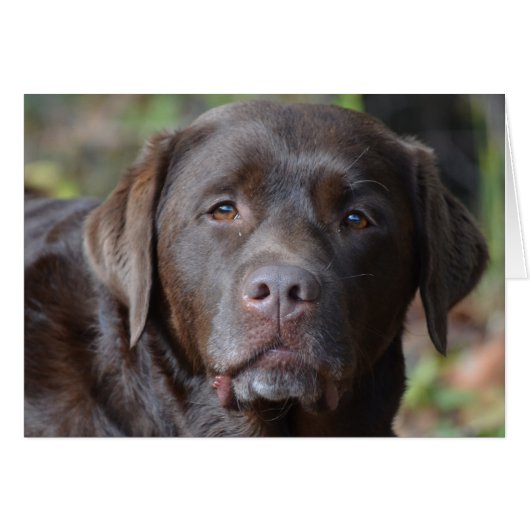 Customize Product (Front Horizontal)