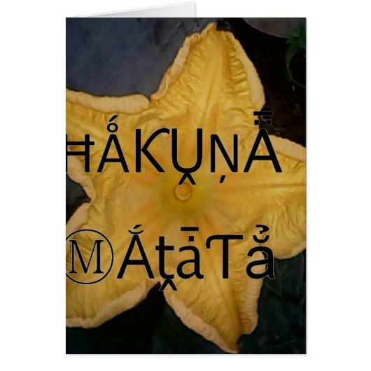 Customize Product (Front)