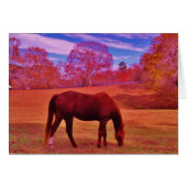 Customize Product (Front Horizontal)