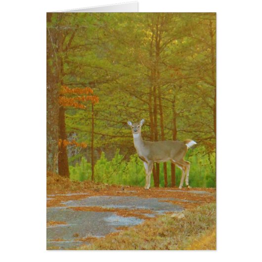 Customize Product (Front)