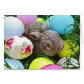 Customize Product (Front Horizontal)