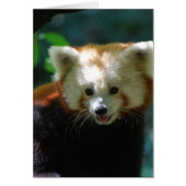 Customize Product (Front)