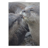 Customize Product (Front)