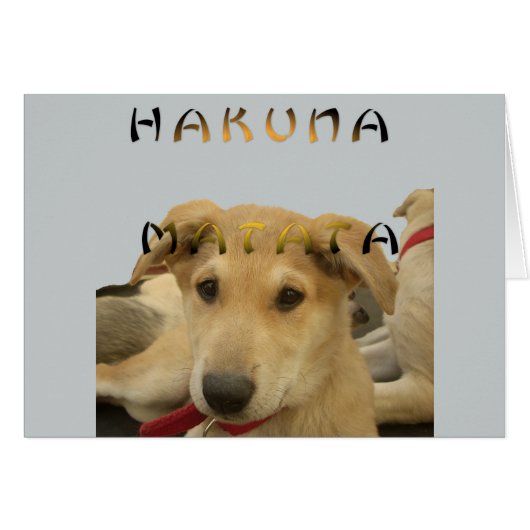 Customize Product (Front Horizontal)