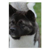 Customize Product (Front)