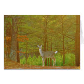 Customize Product (Front Horizontal)