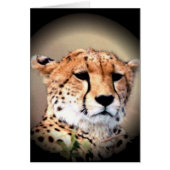 Customize Product (Front)