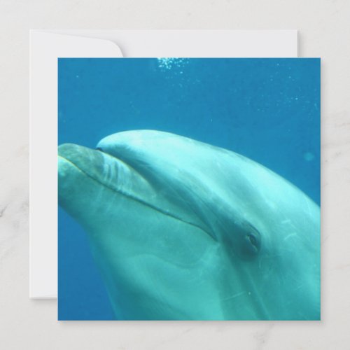 Customize Product Custom Invite