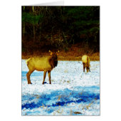 Customize Product (Front)