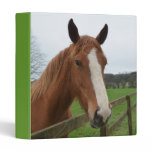 Customize Product 3 Ring Binder