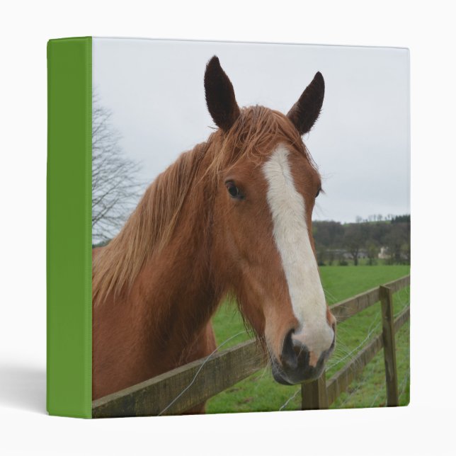 Customize Product 3 Ring Binder (Front/Spine)