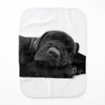 Customize Product Baby Burp Cloth