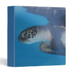 Customize Product Binder