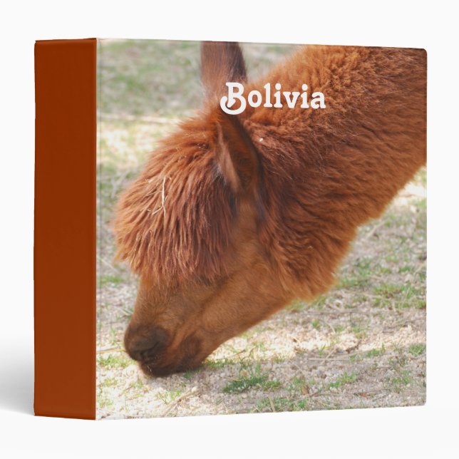 Customize Product Binder (Front/Spine)