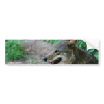 Customize Product Bumper Sticker