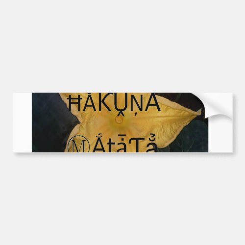 Customize Product Bumper Sticker