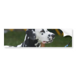 Customize Product Bumper Sticker