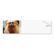 Customize Product Bumper Sticker