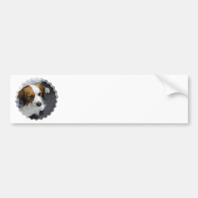 Customize Product Bumper Sticker (Front)