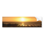 Customize Product Bumper Sticker