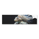 Customize Product Bumper Sticker