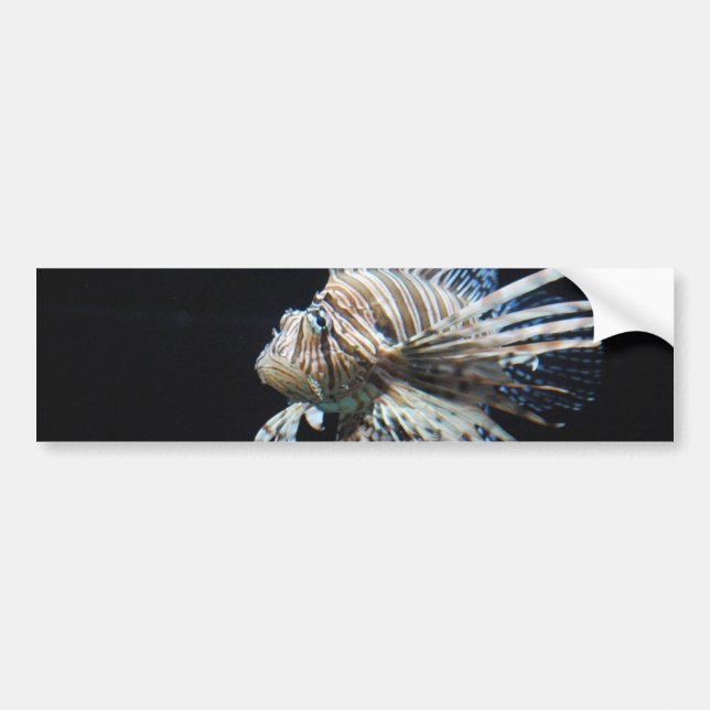 Customize Product Bumper Sticker (Front)