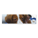 Customize Product Bumper Sticker