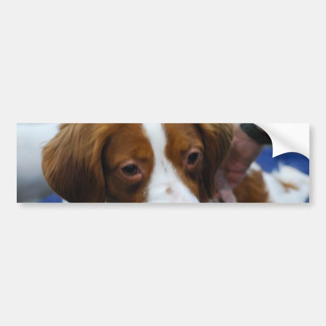 Customize Product Bumper Sticker (Front)