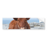 Customize Product Bumper Sticker
