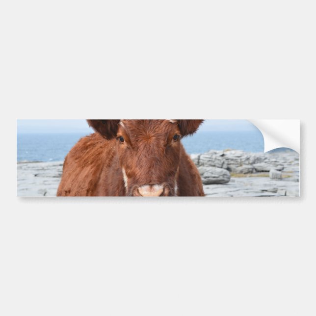 Customize Product Bumper Sticker (Front)