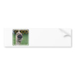Customize Product Bumper Sticker