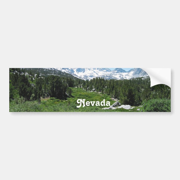 Customize Product Bumper Stickers