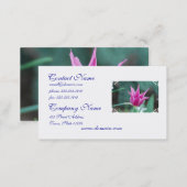 Customize Product Business Card (Front/Back)