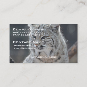 Customize Product Business Card