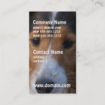 Customize Product Business Card