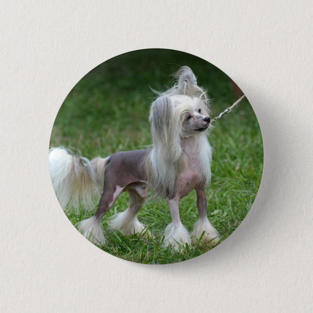 Customize Product Button (Front)